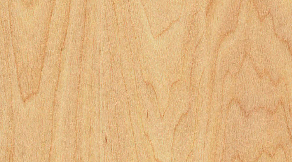Taraflex Sport M Evolution_Wood_6381 Maple Design