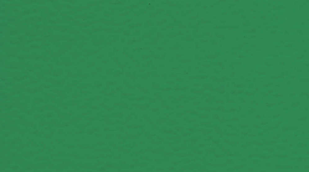 Taraflex Sport M Evolution_Uni_6570 Mint Green