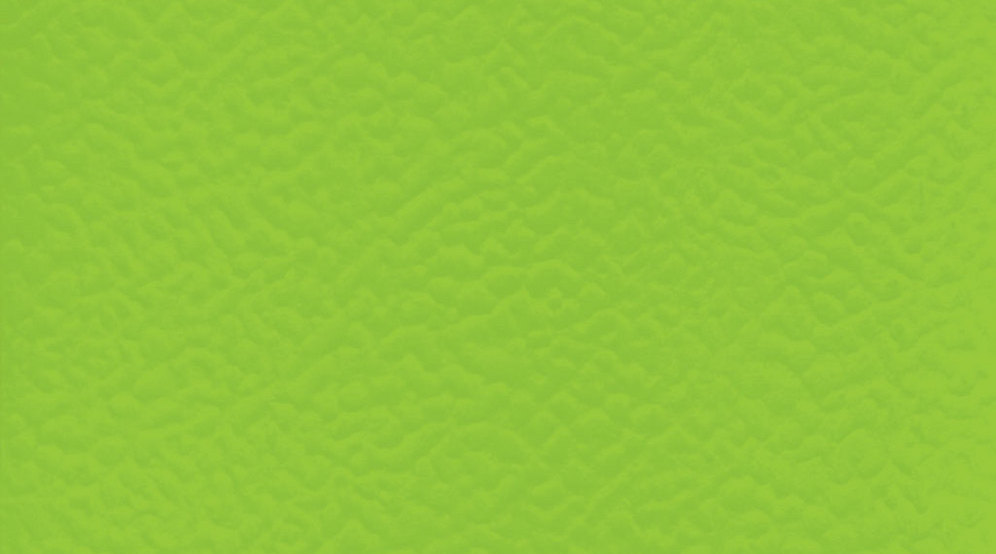 Taraflex Sport M Evolution_Uni_6559 Spring