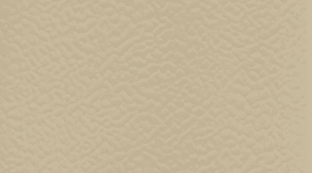 Taraflex Sport M Evolution_Uni_6347 Beige