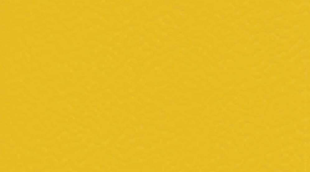 Taraflex Sport M Evolution_Uni_6211 Gold