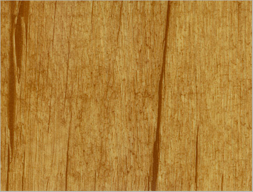 Natural wood Shares_NW-605